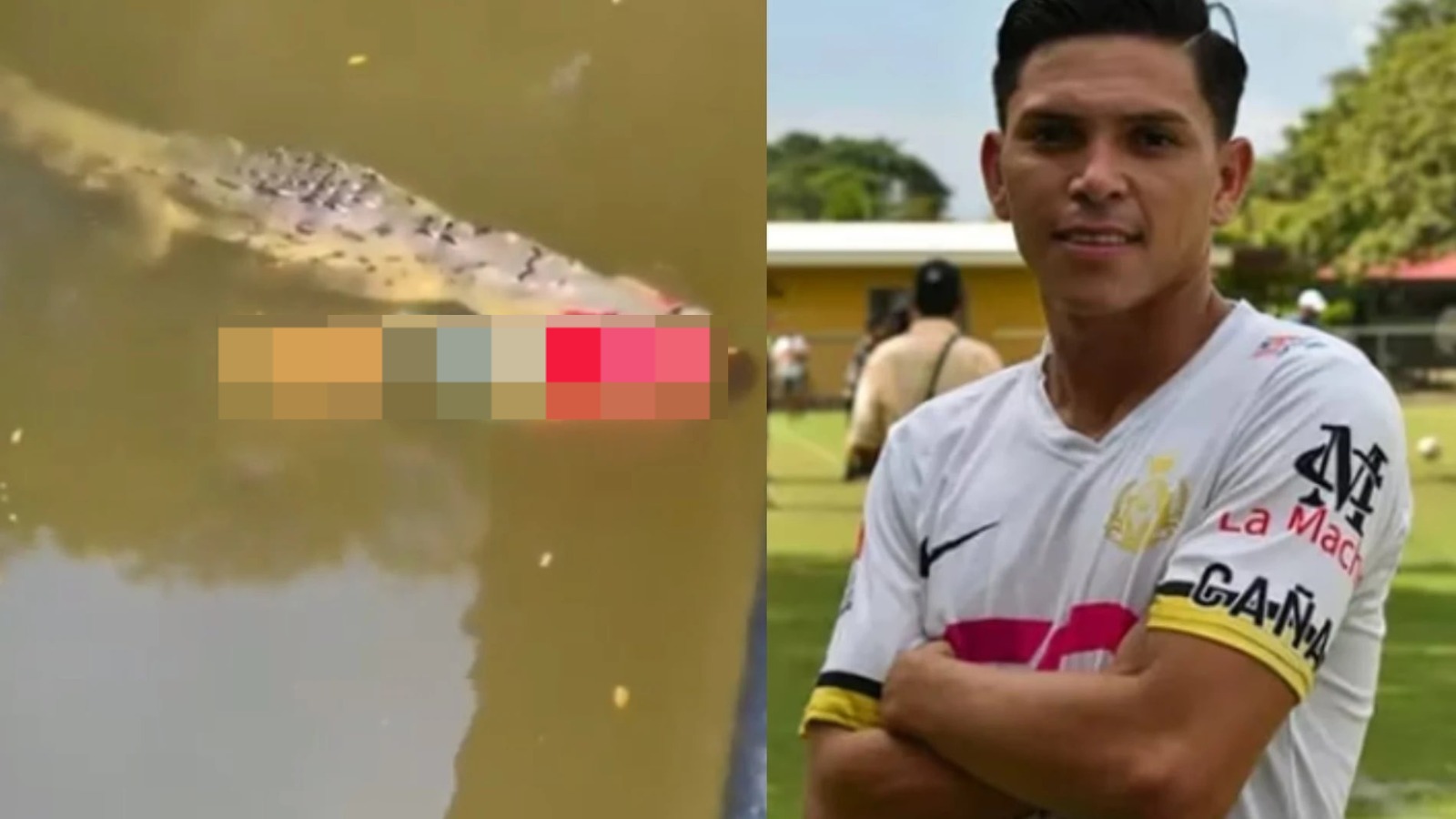 Jogador De Futebol é Morto Por Crocodilo Após Pular Em Rio 