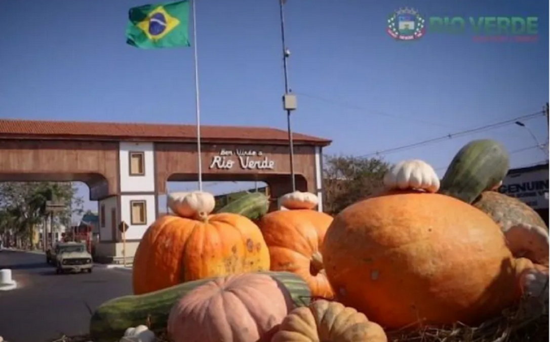 aboboras
