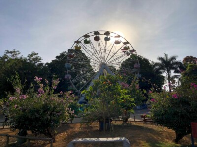 Goiânia: árvore cai sobre telhado do bate-bate do Parque Mutirama durante a chuva