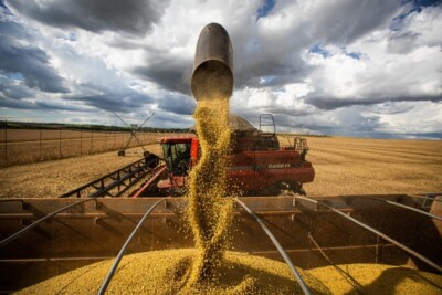 Goiás deve ter queda de 11% na produção de soja