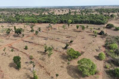 Denúncias de desmatamento poderão ser feitas na nova plataforma (Foto: Semad)