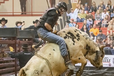 Goianésia recebe evento com 3 dias de rodeio e shows de Bruno e Marrone, Cláudia Leitte e mais