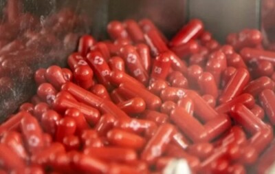 Molnupiravir: estudo aponta que medicamento anti-Covid pode ter levado a mutações do vírus Pílula antiviral foi lançado durante a pandemia