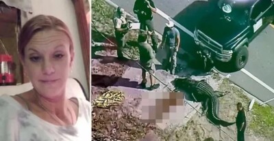 Mulher morta por jacaré Americana sem teto foi morta por jacaré de 4 metros ao voltar para barraca, diz a filha Americana vivia em acampamento de área pantanosa