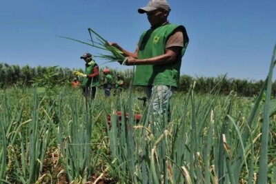 Emater abre seleção para 63 vagas temporárias com salários de R$ 2,5 mil mais vale-alimentação