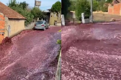 'Rio de vinho tinto' inunda ruas de Portugal após destilaria se romper; vídeo