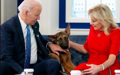 Pastor-alemão de Biden morde agente do serviço secreto; já é o 11º ataque Animal voltará para um centro de adestramento