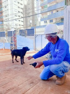 Cão adotado vira mascote em canteiro de obras em Goiânia