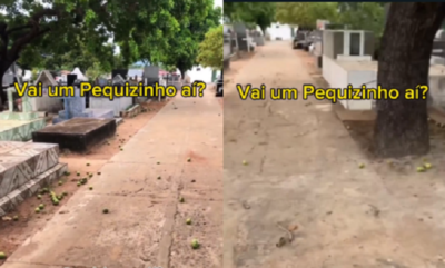 Homem viraliza com vídeo de pequizeiro em cemitério: "Vou levar mesmo" "Zero preconceito com o adubo!", comentou internauta