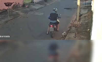 Homem abandona filhotes de cão em Goiânia, mas deputado Eduardo Prado identifica suspeito