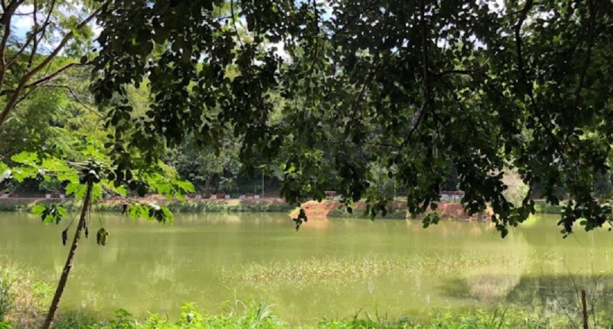 Lago no Parque das Flores, em Goiânia