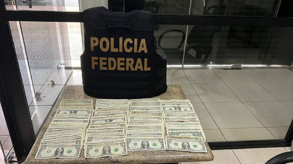 Dinheiro apreendido pela PF