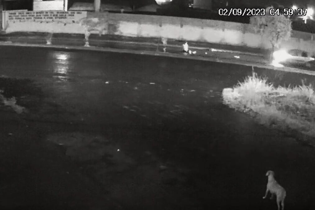 Homem é atropelado duas vezes seguidas e morre em rua de Aparecida