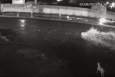 Homem é atropelado duas vezes seguidas e morre em rua de Aparecida