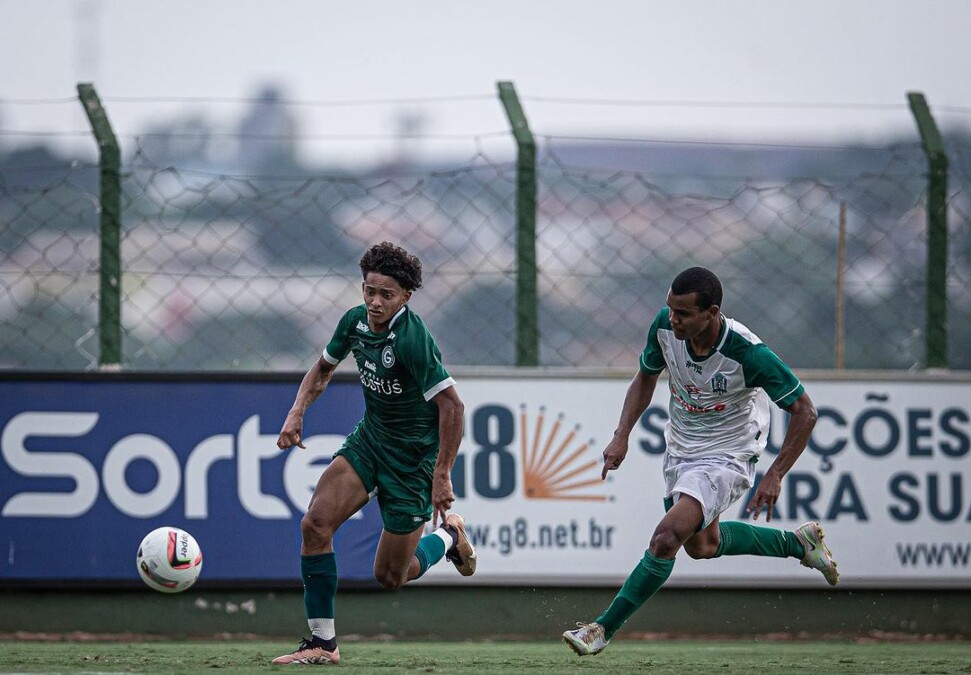 halerrandrio x itab (5)