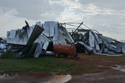 Vendaval derruba galpão de rebanho de leite em Firminópolis e vaca fica ferida