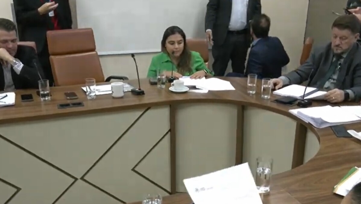 Relatora analisa emendas ao Código de Posturas (Foto: Reprodução - TV Câmara)
