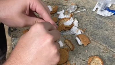 Pai é preso suspeito de passar droga escondida dentro biscoito e pães para filho em presídio de Mineiros