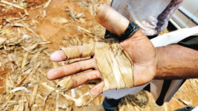 Goiás é o terceiro estado com mais casos de trabalho análogo a escravidão