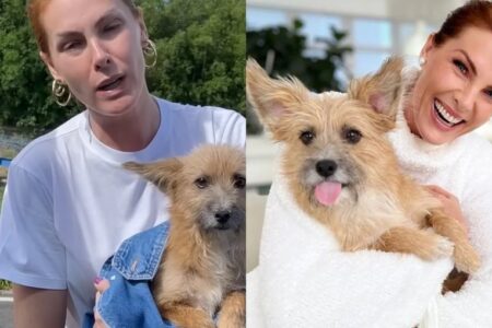 Ana Hickmann relembra resgate de Joaquim, cachorro que a defendeu: 'Cuidem e protejam os bichinhos' Alexandre Correa