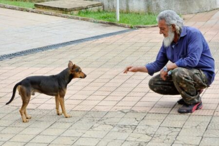Pedreiro é condenado a 18 anos por morte de tutor de animais em Goiânia