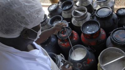 Produtores de Goiás perdem litros de leite, queijos e derivados por falta de energia