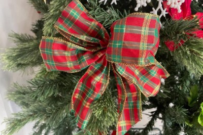 Bazar vende itens natalinos para ajudar Hospital de Câncer Francisco Camargo, em Inhumas