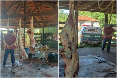 Homem furta gado em Buriti Alegre, é pego desossando o animal e tenta subornar PMs