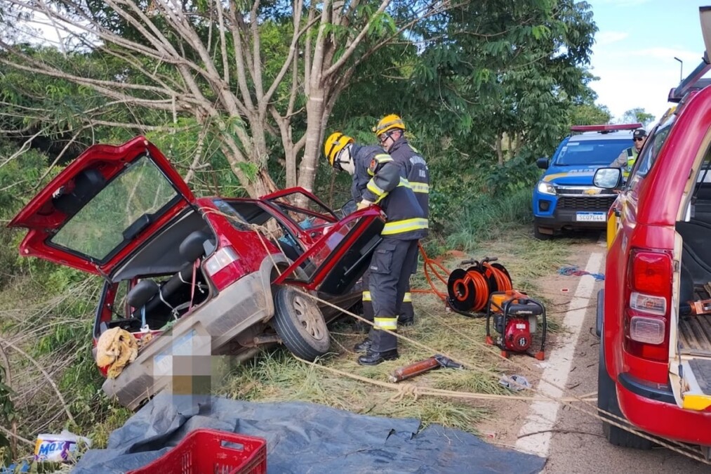 Condutora morre e criança fica ferida após carro sair da pista e bater em árvore, em Mimoso de Goiás