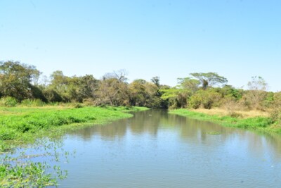 Governo altera prazos de validade das outorgas de uso da água do Estado de Goiás