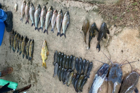 Polícia Civil cumpre operação contra pesca predatória em Piracanjuba (Foto: Divulgação/Polícia Civil)