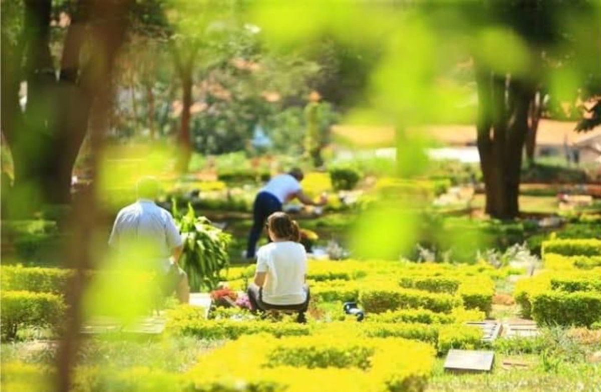 Mortes em Goiás caem 22,6%, diz IBGE