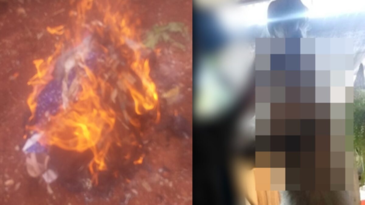 O homem foi preso em flagrante pelos crimes de ameaça, injúria, dano e maus-tratos aos animais