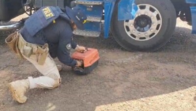 Caminhoneiro é preso após esconder arma em casinha de cachorro, em Jataí Homem foi encaminhado para a Central de Flagrantes