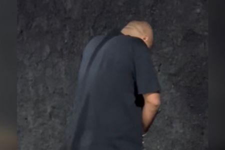 Empresário é preso por furto qualificado em Goiânia (Foto: Divulgação/Polícia Civil)