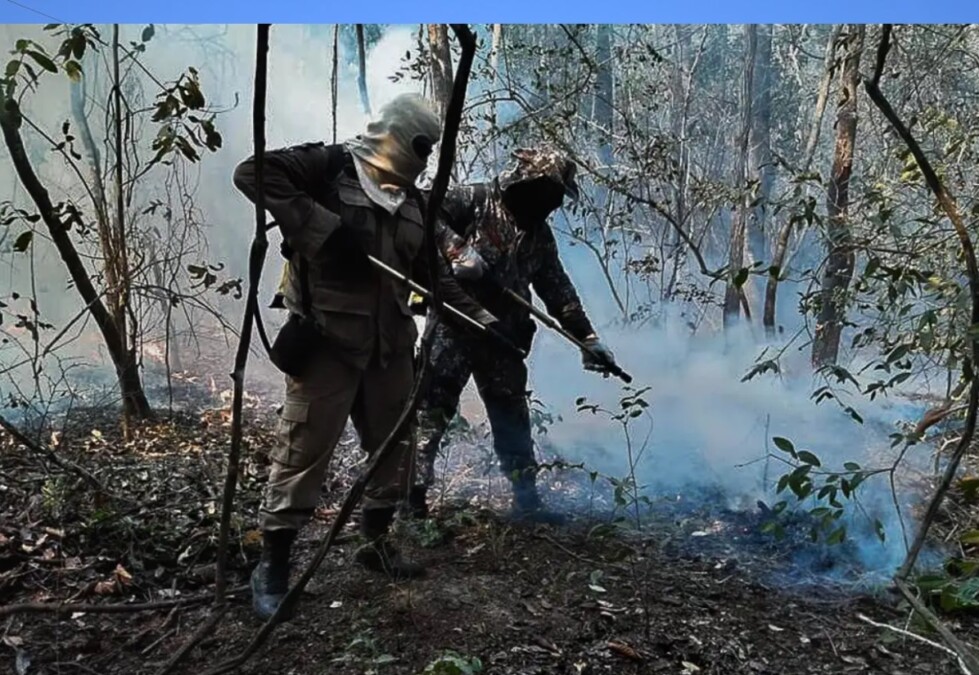 Força Nacional combate incêndio no Pantanal (Foto: Força Nacional de Segurança Pública - Divulgação)