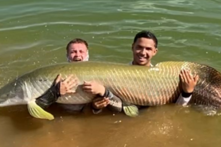 Adolescente de 16 anos pesca pirarucu de 60 kg em lago de Morrinhos