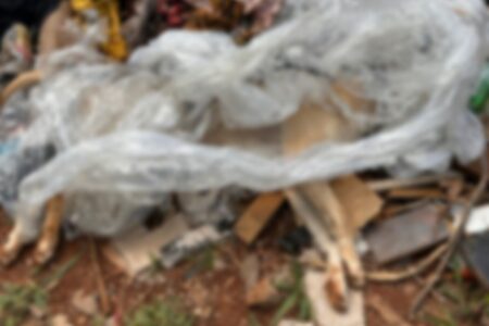 Homem agride e mata cachorro, em Novo Gama