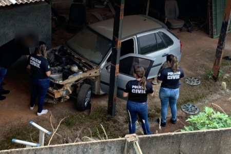 Polícia Civil localiza desmanche de veículo em Itaberaí (Foto: Divulgação/Polícia Civil)
