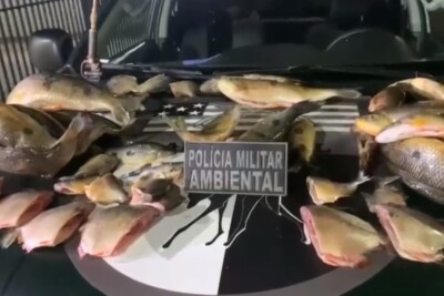 PM prende pescador com 17 kg de pescado ilegal em Gouvelândia