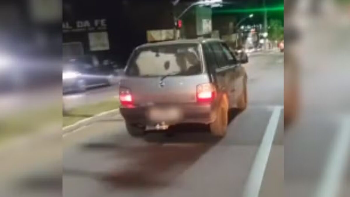 Bezerro é flagrado em porta-malas de carro, em Catalão