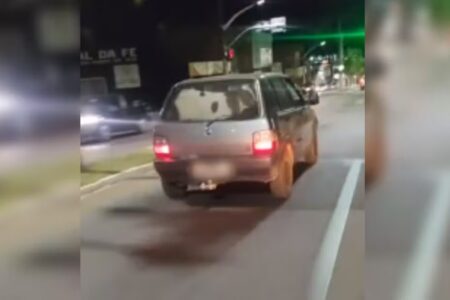 Bezerro é flagrado em porta-malas de carro, em Catalão