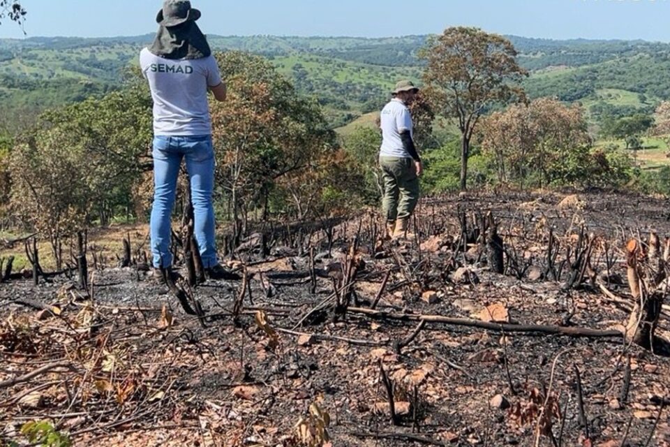 Flagrante de desmatamento realizado pelos fiscais da Semad (Foto: Divulgação)