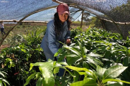 Prorrogado o prazo para inscrições no projeto de Fruticultura Irrigada do Vão do Paranã