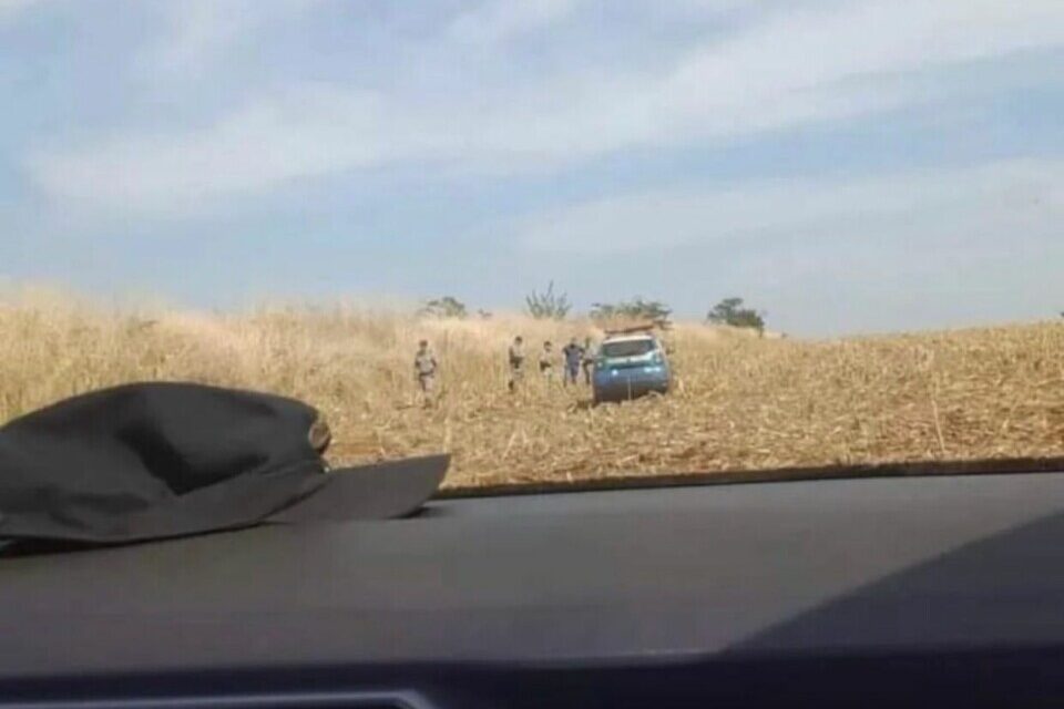 Corpos foram encontrados em um pasto (Foto: divulgação/PM)