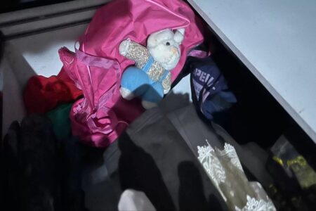 Polícia apreende celular, boneca e pelúcia de suspeito de estupro de vulnerável no DF