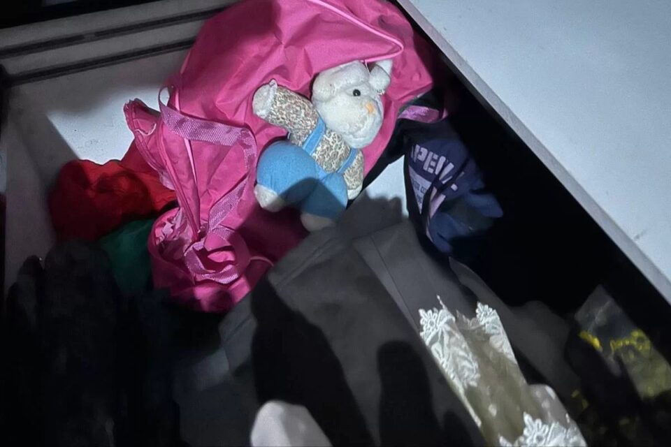 Polícia apreende celular, boneca e pelúcia de suspeito de estupro de vulnerável no DF
