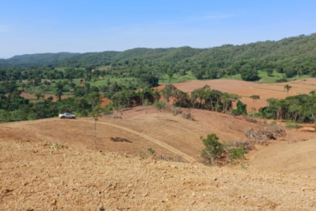 Flagrante de desmatamento realizado pela Semad (Foto: Divulgação)