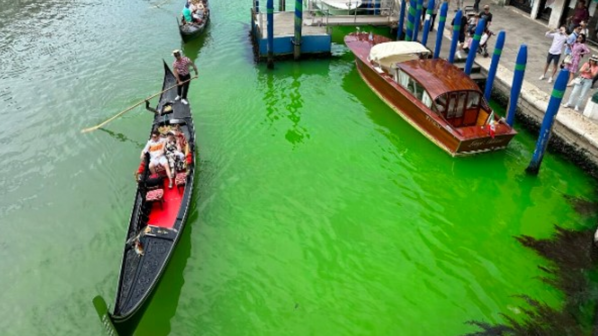 Águas de Veneza, na Itália, ficam verdes após protesto de ativistas climáticos (Foto: Twitter)