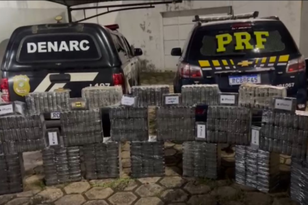 Operação apreende 451 peças de cocaína em Goiânia (Foto: Divulgação/Polícia Civil)